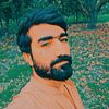 meharzada5537