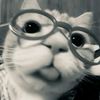 injacuttiee