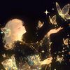 somnus_stella