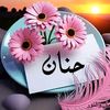 hanan.muhammad959