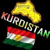armanghaderi4