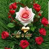 user4368512077590
