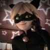 cat_noir806