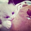 yunn_xz