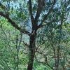 fleuri.moises
