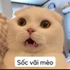 thucly.13