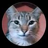 naranjito_vlosg.300
