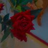 user2286006213046