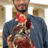 umaraseelbirds