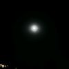 foxyy_27.2