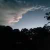 ayamhutan.69