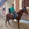 mohammedhamadaels04