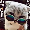 the_litterboxx