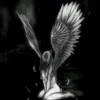.xiaa_0