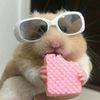 animal_lover.katie