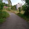 user071270071