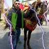 samir.mouzouri