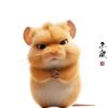 kwan_kahy_15