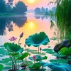 tinhtam15080