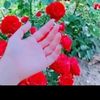 rajput59842