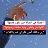 user2404271660653
