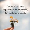 vane_trujill