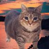 golova_2222