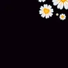 fatma92661