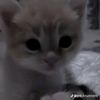 itzurgirl_michyy
