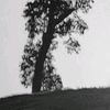 i__ksu1