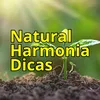 naturalharmoniadicas