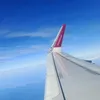 amelia_b_