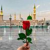 haafizusman786