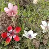 nasren.ali2