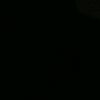 sharaa_26