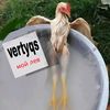 vertyqs222