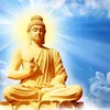 maytrang3.6