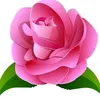 ghssanf.yaseen