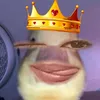 walipogi.com