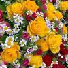 user8109029819169