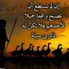 naser21147