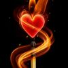 user4668082028730
