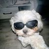 muwiww02