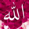 user4882097104614