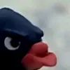 eightintheeight