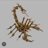 scorpion.king7698