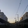 anaxx_flee