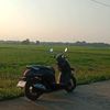 keongireng_