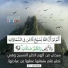 user825180468753