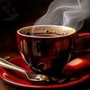 hasni.hasni248